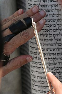 Genesis 6:18-7:8 in a Torah scroll Parashat Noah.jpg