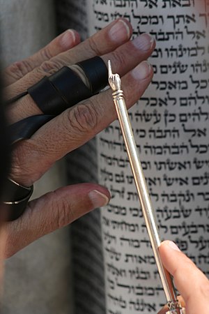 Reading Torah (Parashat Noah)