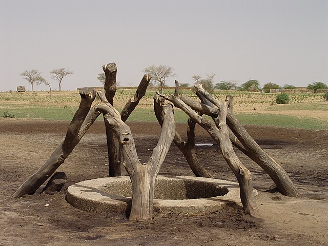 Puit pastoral aux alentours de Zinder au Niger.