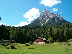 Prati Piereni ai piedi del Monte Cimerlo (Gruppo Pale di San Martino)in Primiero