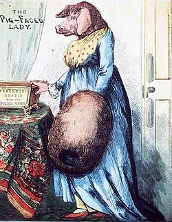 http://upload.wikimedia.org/wikipedia/commons/thumb/7/71/Pig-faced_Lady_of_Manchester_Square.jpg/250px-Pig-faced_Lady_of_Manchester_Square.jpg