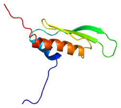 Протеин PRKRA PDB 2dix.png