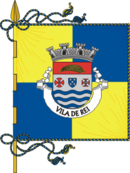 Bandeira de Vila de Rei