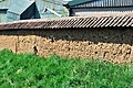 An old mud wall at Rearsby that is a habitat for solitary bees.