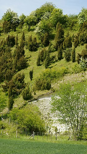 Réserve naturelle régionale des Riez d' Nœux-lès-Aussi