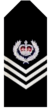 Sa-police-Senior-sergeant1.png