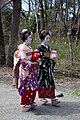 Deux maiko de Kyoto.