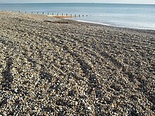 A gently sloping beach of large, coarse stones, lit by weak sunlight. There are some mounds caused by tyre tracks, and an accumulation of brown seaweed. A timber groyne runs into the sea in the background. A ship is just visible on the horizon.