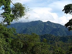 Sierra del Merendon en Honduras 1.jpg