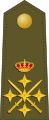 Генерални капетан Шпанске армије.