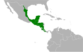 Distribución geográfica del semillero de Morelet.