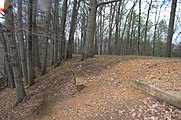 This is the railroad bed, looking West, of the Chesterfield Railroad over Pocoshock Creek in Chesterfield County, Virginia.