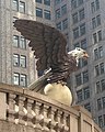 Скульптура белоголового орлана