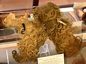 Скальп с сохранившимися светлыми волосами из гробницы в Гуробе XVIII или XIX династии