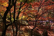 瑞宝寺公園