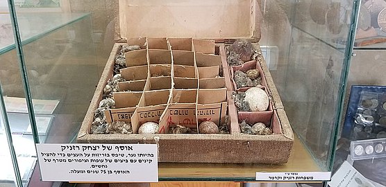 אוסף קיני ציפורים מלפני 70 שנה