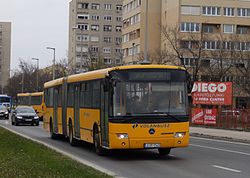 736-os busz a Than Károly utcában