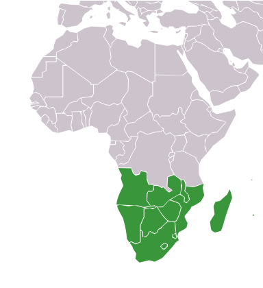 Kort over Afrika med det sydlige Afrika markeret