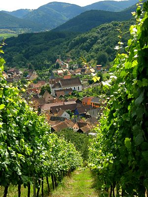 Albé, Bas-Rhin, Alsace, France.