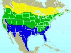 Rozšíření: Zelená = celoročně Žlutá = pouze v létě Modrá = pouze v zimě