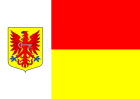 Flagg vun Apeldoorne