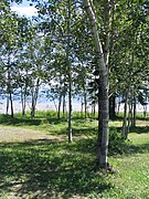 Route 138, picnic area, beach, gulf of St Lawrence