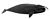Иллюстрация гренландского кита с полностью черным телом с белым пятном на челюсти и большим телом