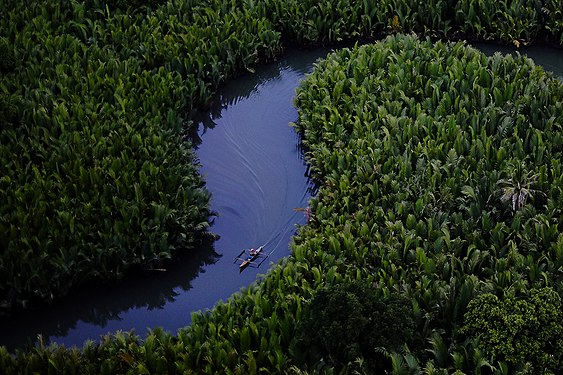 Dioyo River in Baliangao, Misamis Occidental. Photograph: Theglennpalacio