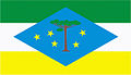 Bandeira de Laranjeiras do Sul