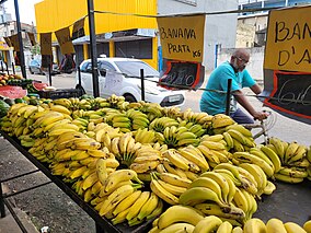 Barraca de bananas na feira, o vendedor organiza as bananas e ao fundo observam-se placas de preço com tipografia vernacular.