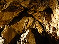 Miniatura pro Bozkovské dolomitové jeskyně