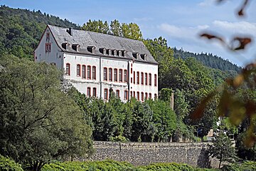 Burg Bollendorf auf einem Felsen in der Flussniederung der Sauer