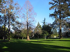 Vista de um parque no Condado de San Mateo