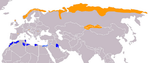 Distribució del corriol pit-roig