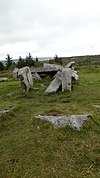 Wedge Tomb von Tullygobban Hill