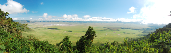 Vue panoramique du cratère du Ngorongoro en Tanzanie.