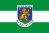 Flag of Berehove