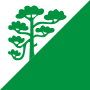 Флаг волости Раасику