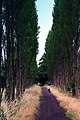 "The Avenue" en el "Fletcher Moss" que a través de un sendero conduce al río Mersey.