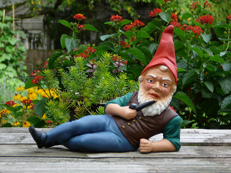 800px-German_garden_gnome.jpg