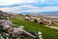 Gobustan State Reserve Foto: Sefer azeri (2016)