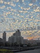 Altocumulus floccus с линия от Altocumulus castellanus.