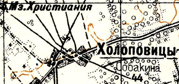 Деревня Холоповицы на карте 1934 года