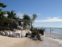 Küstenerosion durch Meeresanstieg in South Tarawa