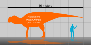 Таблица размеров Hypsibema missouriensis.svg