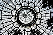 Under the dome of the Winter Garden