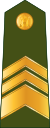 Latvia-Army-OR-8.svg