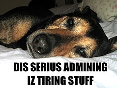 Don't be like admin dog! Use sysop tools moderately.