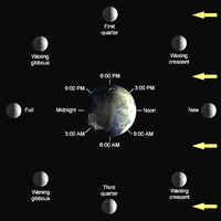 Lunar-Phase-Diagram.png