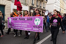 Cochrane argues that animal activists could play an important role in securing a cosmopolitan sentientist democracy, and he calls upon them to pay attention to political institutional change. Marche pour la fermeture des abattoirs du 4 juin 2016 a Paris.jpg